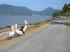 200 Cairns Esplanade
